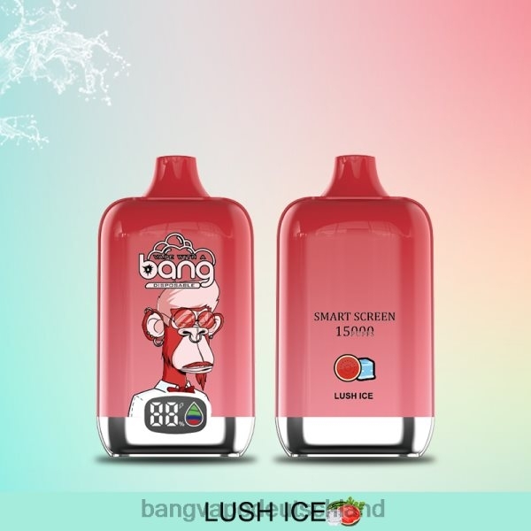 Bang Vape Deutschland - Bang Vape Digital Smart Screen 15000 Züge 25 ml 2B2XN11 Einweg