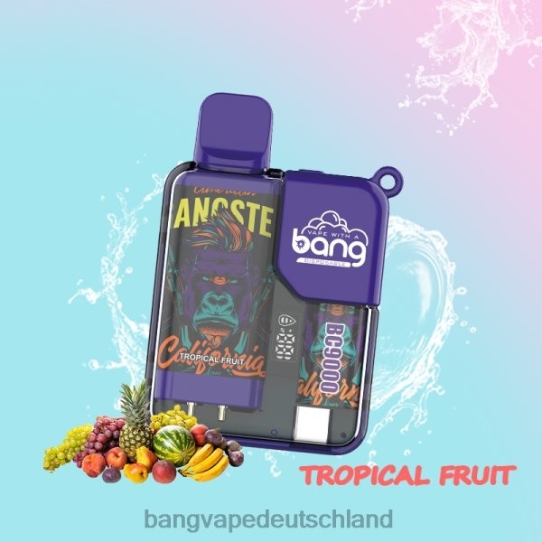 Vape Gang Shop - Bang Vape Box BC9000 vorgefüllt 16ml 2B2XN6 Einweg