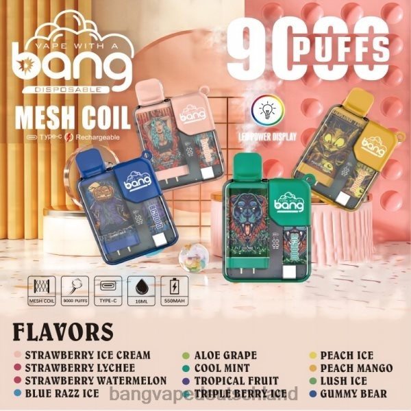 Vape Gang Shop - Bang Vape Box BC9000 vorgefüllt 16ml 2B2XN6 Einweg