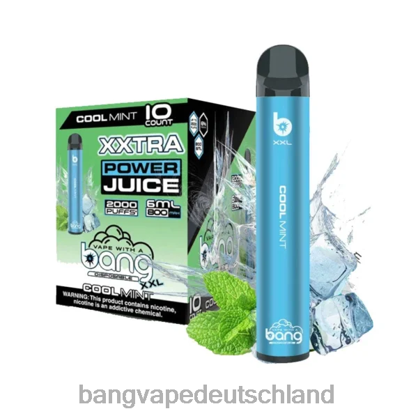 frische Minze
