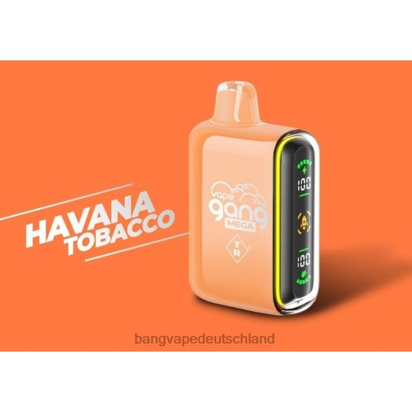 Bang Vape Berlin - Vape Gang MEGA 20.000 Züge Einweg-Vaporizer (5er-Packung) 2B2XN55 Havanna-Tabak