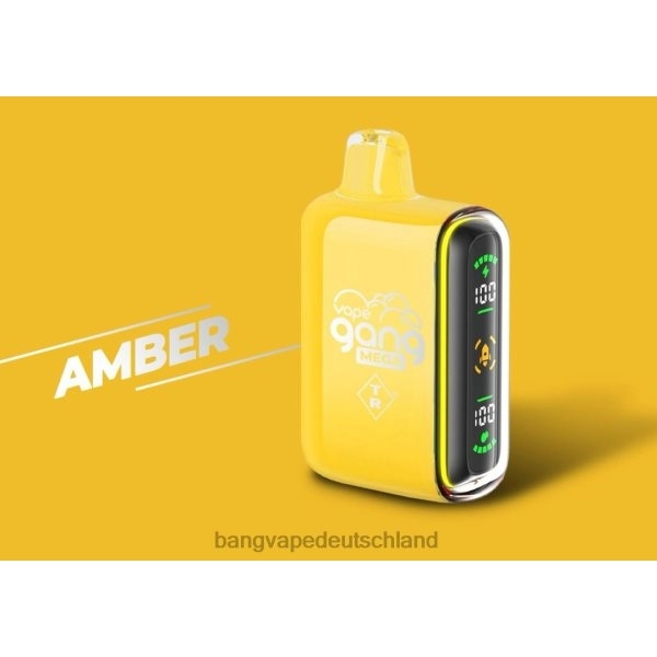 Best Bang Vape Flavor - Vape Gang MEGA 20.000 Züge Einweg-Vaporizer (5er-Packung) 2B2XN50 Bernstein