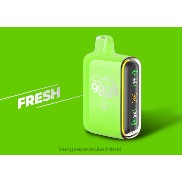 Vape Gang Deutschland - Vape Gang MEGA 20.000 Züge Einweg-Vaporizer (5er-Packung) 2B2XN53 frisch
