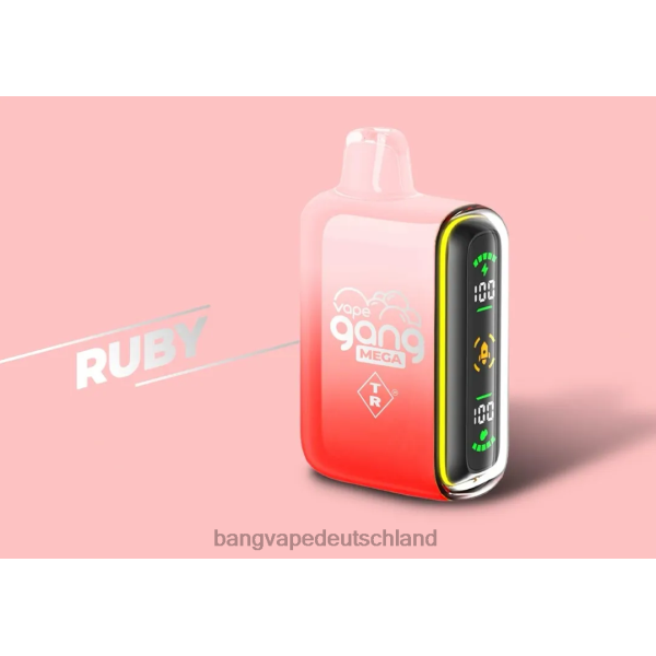 Vape Gang Shop - Vape Gang MEGA 20.000 Züge Einweg-Vaporizer (5er-Packung) 2B2XN58 Rubin