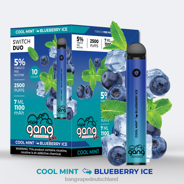 Bang Vape Berlin - Vape Gang Switch Duo 2 Geschmacksrichtungen (10er-Packung) 2B2XN43 kühle Minze – Blaubeereis