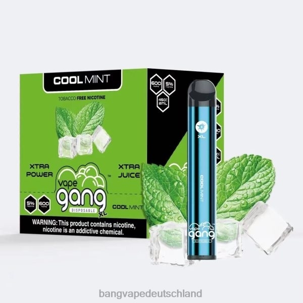 Gang Vape Price - Vape Gang XL Einweg-Vaporizer 600 Züge (10er-Packung) 2B2XN79 frische Minze