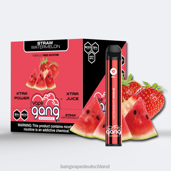 Vape Gang Deutschland - Vape Gang XL Einweg-Vaporizer 600 Züge (10er-Packung) 2B2XN74 Strohwassermelone