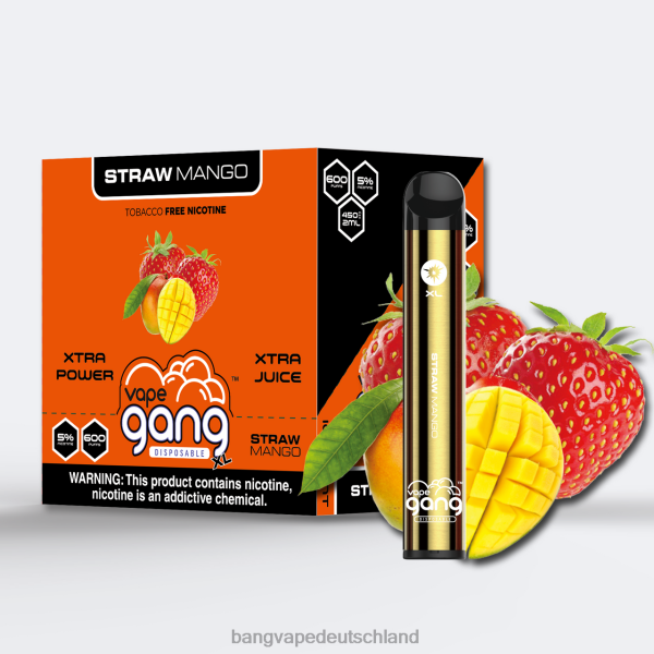 Vape Gang Disposables - Vape Gang XL Einweg-Vaporizer 600 Züge (10er-Packung) 2B2XN66 Strohmango