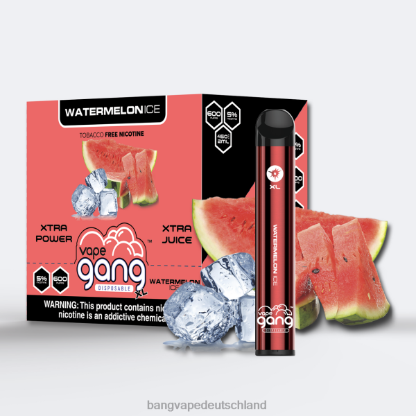 Vape Gang Disposables - Vape Gang XL Einweg-Vaporizer 600 Züge (10er-Packung) 2B2XN76 Wassermeloneneis